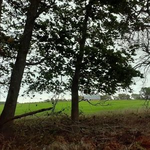 Meet your Posher, Flor